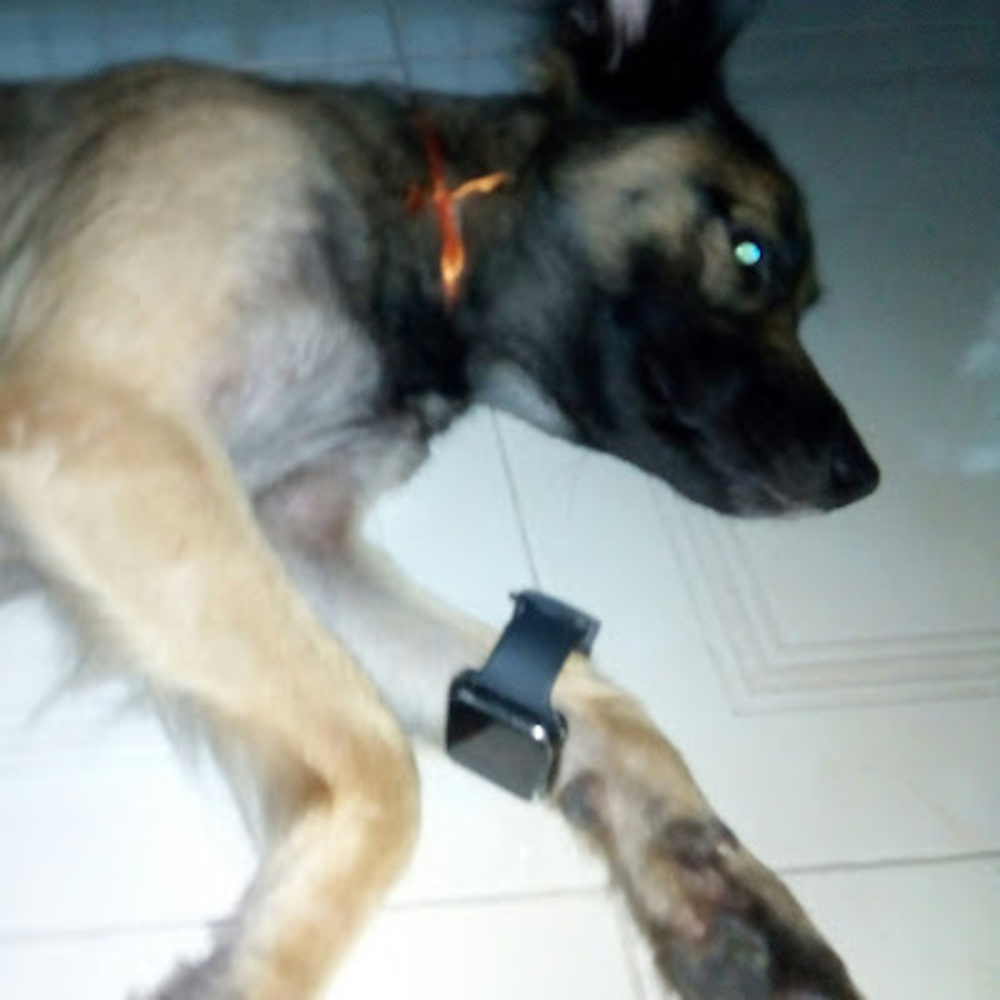 Meet your Posher, Anuar